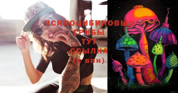круглые Вяземский