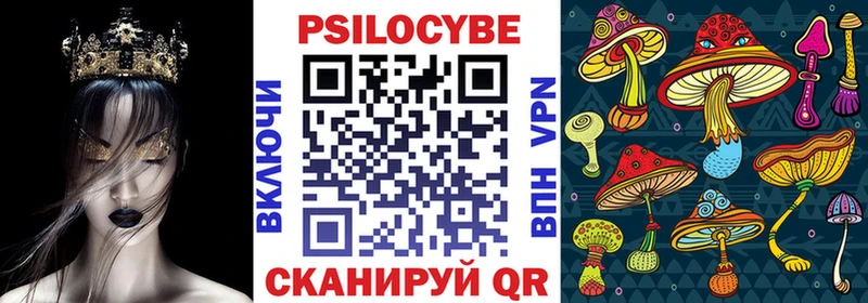где купить наркоту  Кадников  Псилоцибиновые грибы Magic Shrooms 
